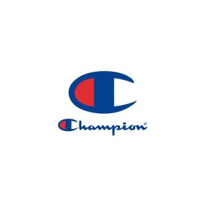 Champion チャンピオン Tシャツ メンズ ブランド C3Z346 半額 半袖 バックプリント付き